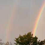 Link to IMGP9618.html