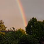 Link to IMGP9631.html