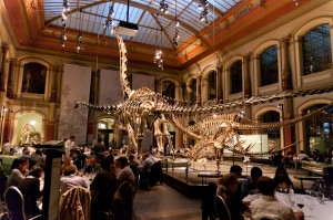 Dining with dinosaurs